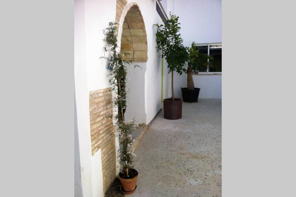 Casa Florinda #7 Apartment Jerez de la Frontera Exterior photo